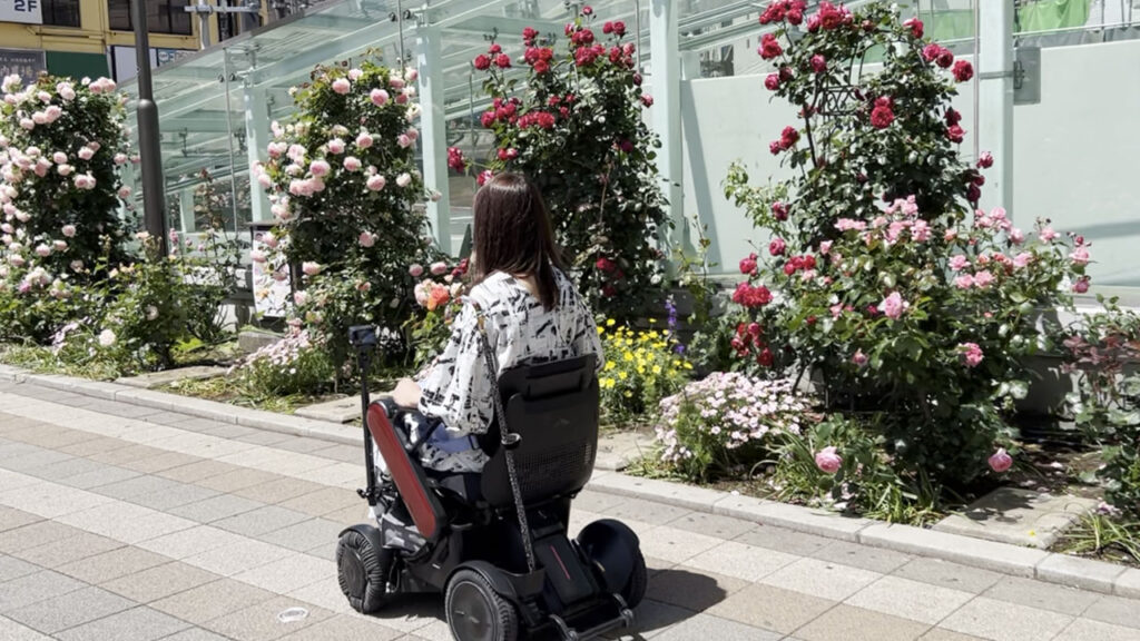 大塚駅南口前の都電沿いに咲き誇るバラと、WHILLで進むmonさま